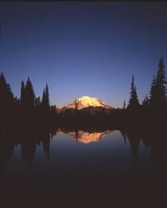 Mt. Rainier