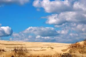 Jockey's Ridge State Park, N.C.