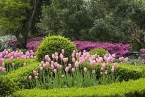 Charleston Garden